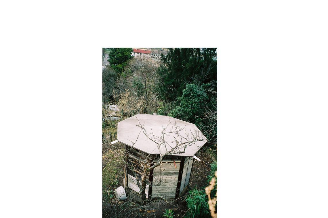 Der Pavillon im Besitz des Landes Baden-Württemberg im Jahr 2008, verbrettert und in keinen guten Zustand.