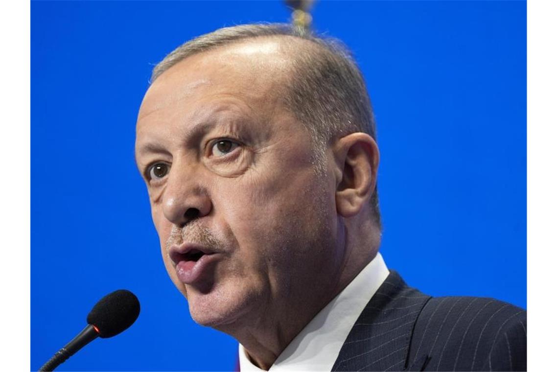 Journalistin wegen Erdogan-Beleidiung festgenommen Der Präsident der Türkei Recep Tayyip Erdogan. Foto: Domenico Stinellis/AP/dpa/Archiv