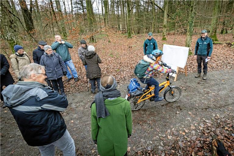 Der stellvertretende Kreisforstamtsleiter Ulrich Häußermann und Revierförster Paul Bek (von links) erklären den Gästen, warum manche Bäume gefällt werden müssen. Unter anderem muss die Sicherheit der vielen Waldbesucher gewährleistet werden. Foto: Alexander Becher