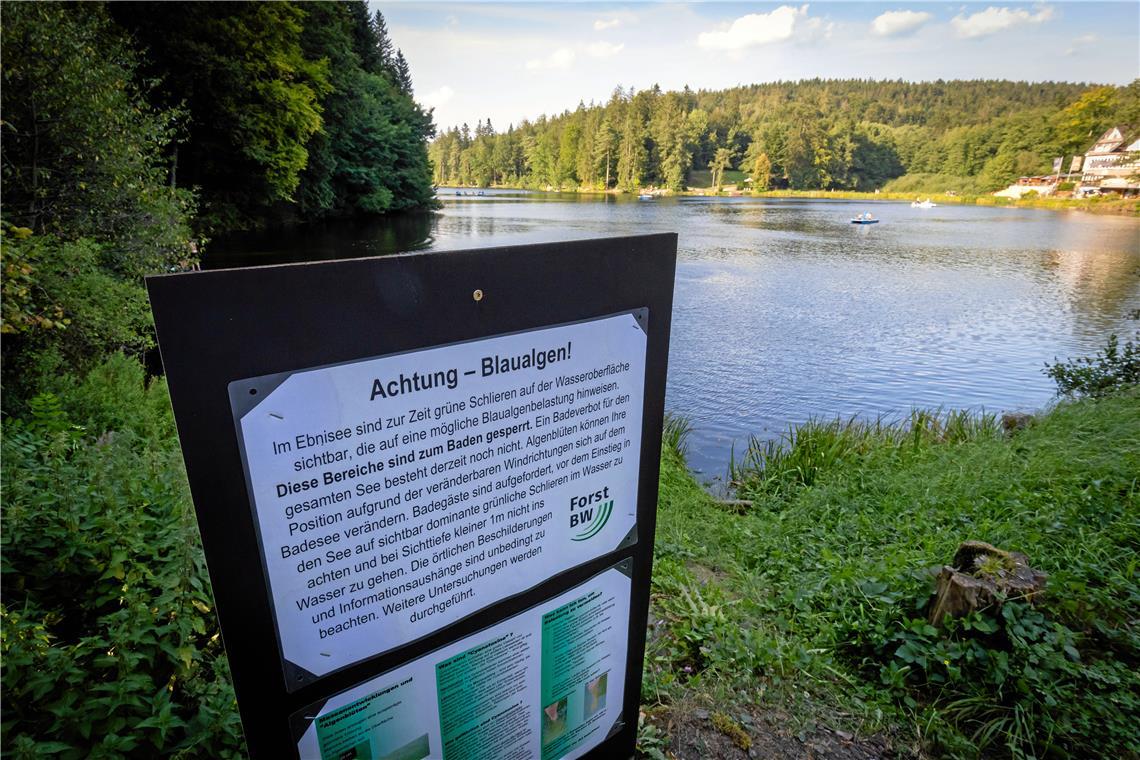 Der Verdacht auf eine sehr hohe Komnzentration an Cyanobakterien hat sich glückl...