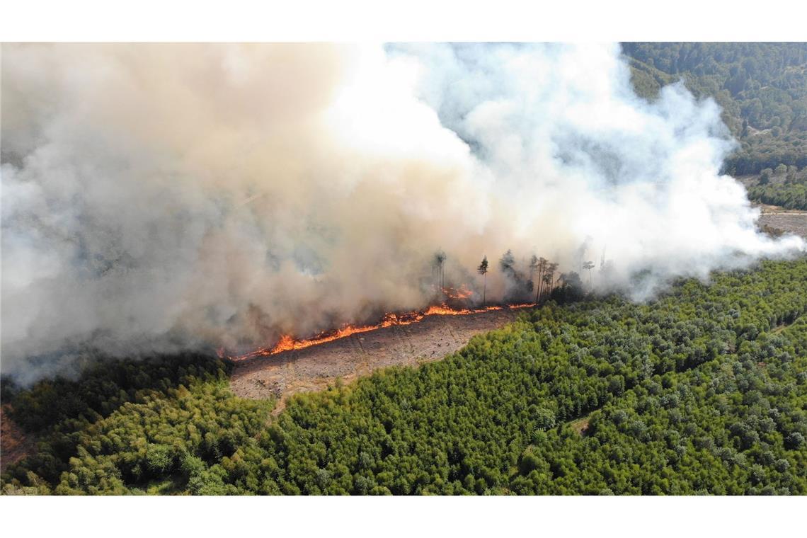 Der weltweite Verlust durch Waldbrände lag mit 11,9 Millionen Hektar 2023 ebenfalls auf Rekordniveau. (Archivbild)