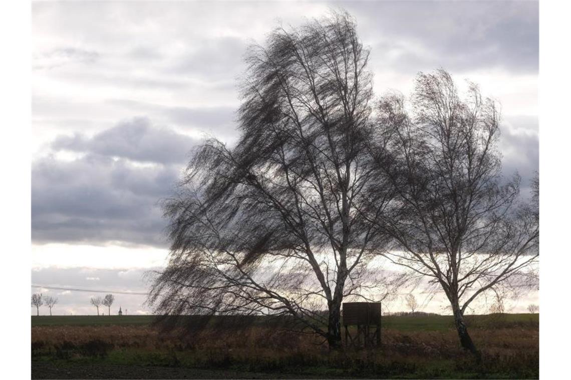 Sturmtief Hermine Bewegt Sich Auf Deutschland Zu