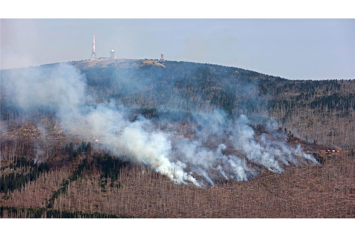 Derzeit ist die Waldbrandgefahr in weiten Teilen Sachsen-Anhalts sehr hoch.