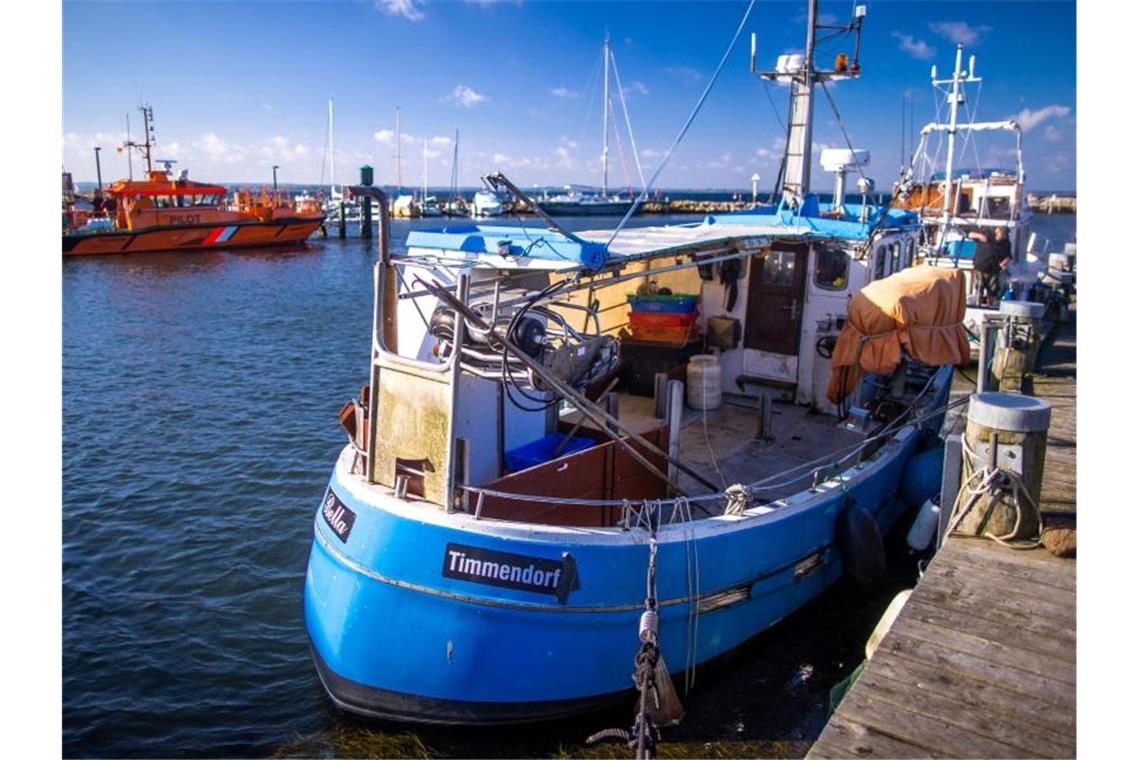 Ausgefischt? Krise deutscher Ostseefischerei spitzt sich zu Dezimierte Fischbestände und sinkende Fangmengen verschärfen die Lage bei den deutschen Ostseefischern. Foto: Jens Büttner/dpa-Zentralbild/dpa