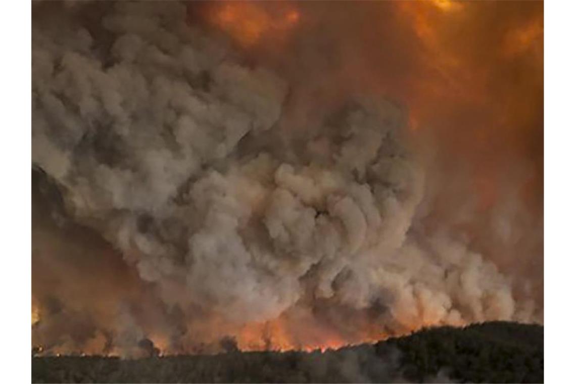 Tausende fliehen vor Feuern in Australien Dichte Rauchwolken über einem Wald im Ort Bairnsdale. Foto: Glen Morey/Glen Morey/dpa