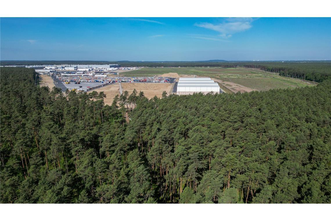 Dichter Wald steht am östlichen Teil des Werksgeländes der Tesla Gigafactory.