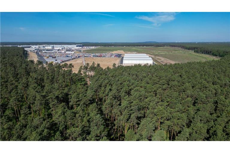 Dichter Wald steht am östlichen Teil des Werksgeländes der Tesla Gigafactory.