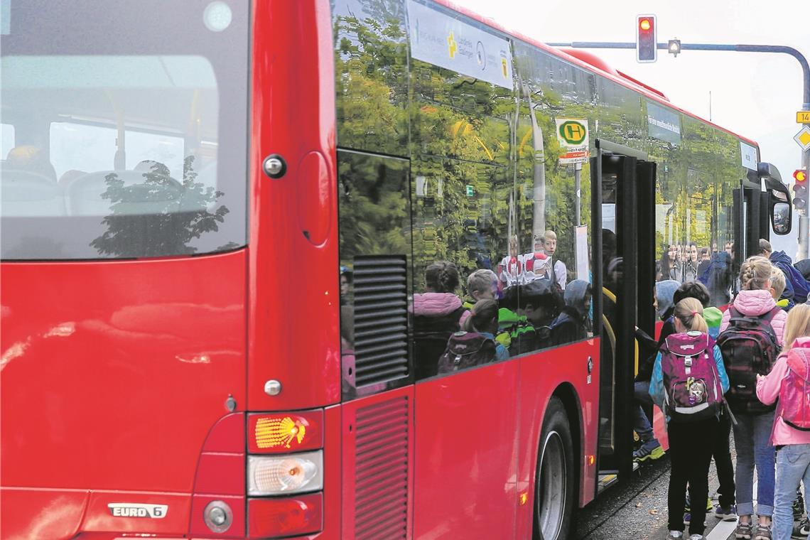 Die Änderungen auf der Buslinie 390 gefallen nicht jedem. Foto: A. Becher