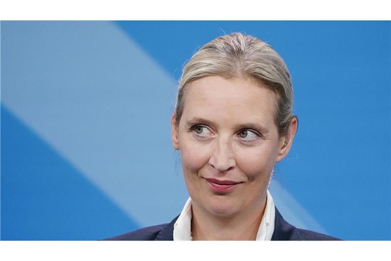 Die AfD hatte bereits in den vergangenen Tagen eine Großspende von 1,5 Millionen Euro und eine von 999.900 Euro gemeldet.