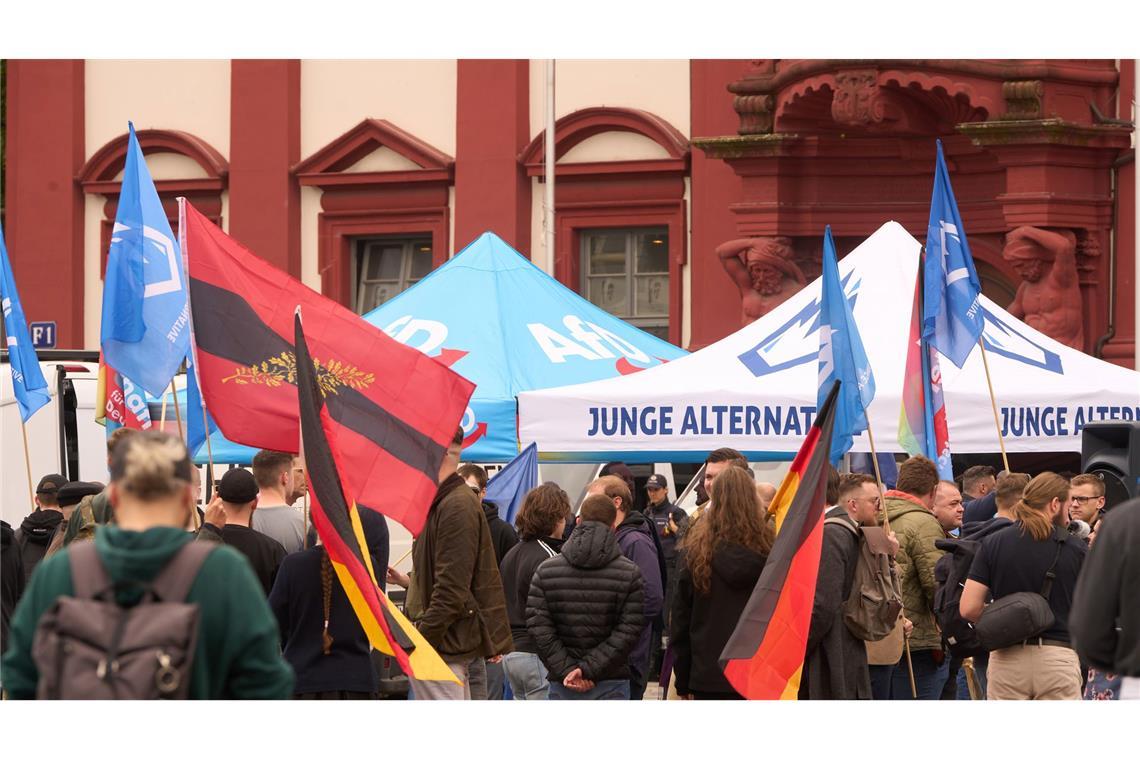 Die AfD will sich von ihrer Nachwuchsorganisation "Junge Alternative" trennen. (Archivbild)