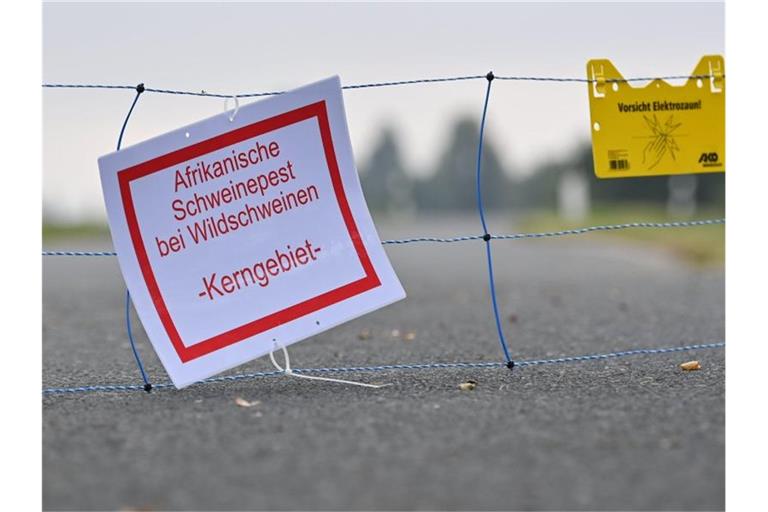 Die Afrikanische Schweinepest ist in Deutschland bislang nur in Brandenburg nachgewiesen worden. Foto: Patrick Pleul/dpa-Zentralbild/dpa