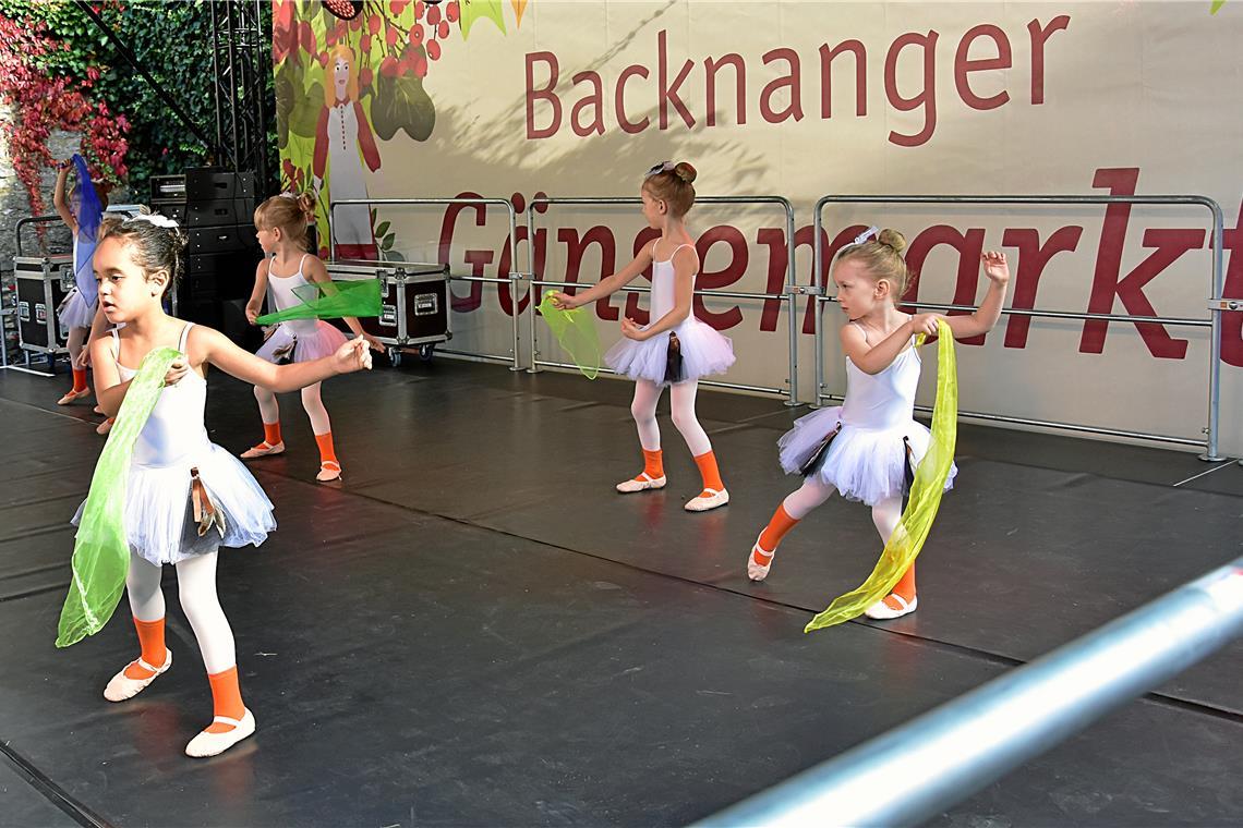 Die Ballettschule mit den Gänsekindern auf der Showbühne. 