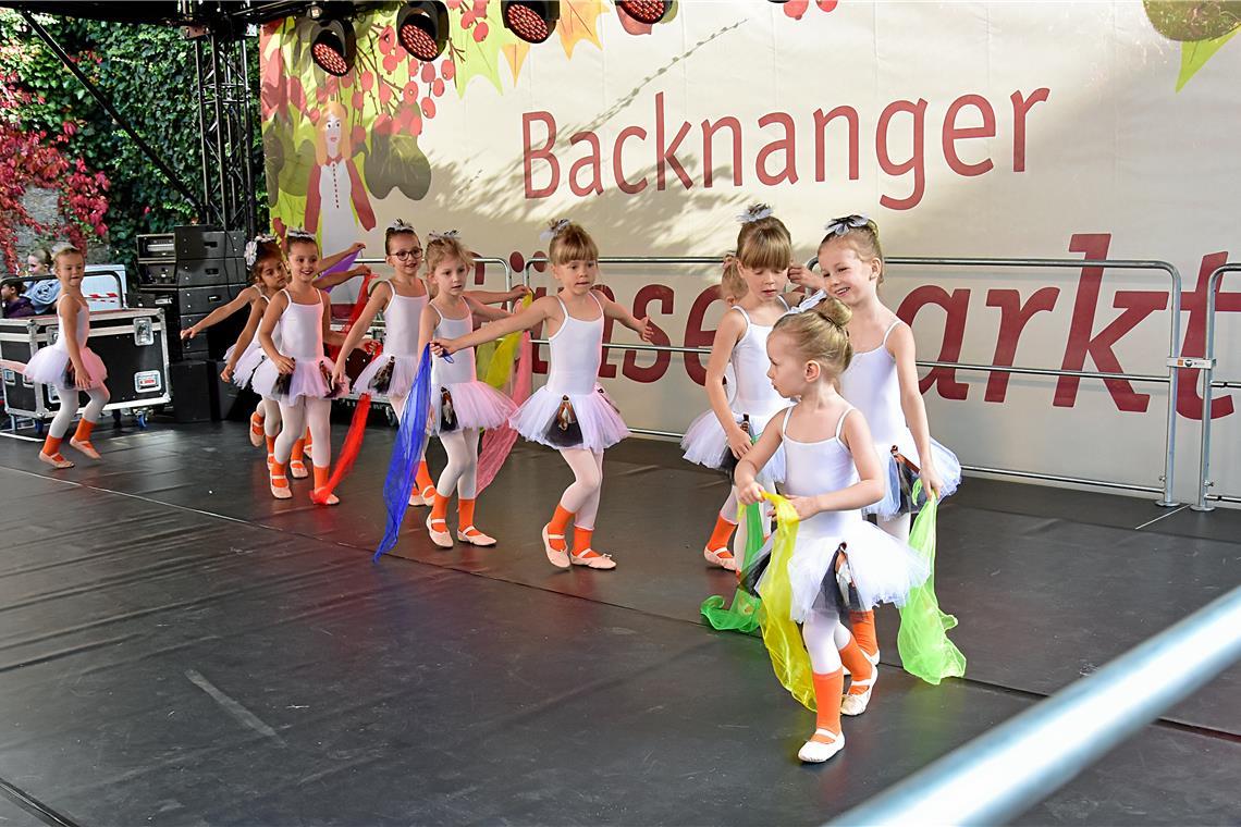 Die Ballettschule mit den Gänsekindern auf der Showbühne. 