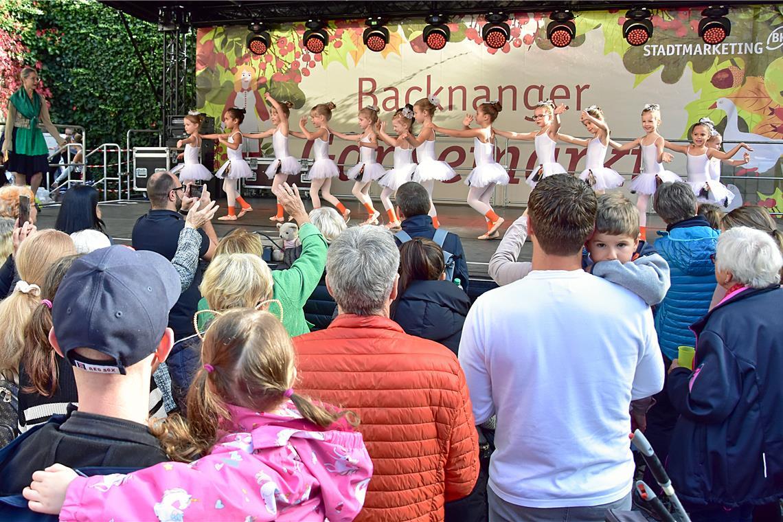 Die Ballettschule mit den Gänsekindern auf der Showbühne. 