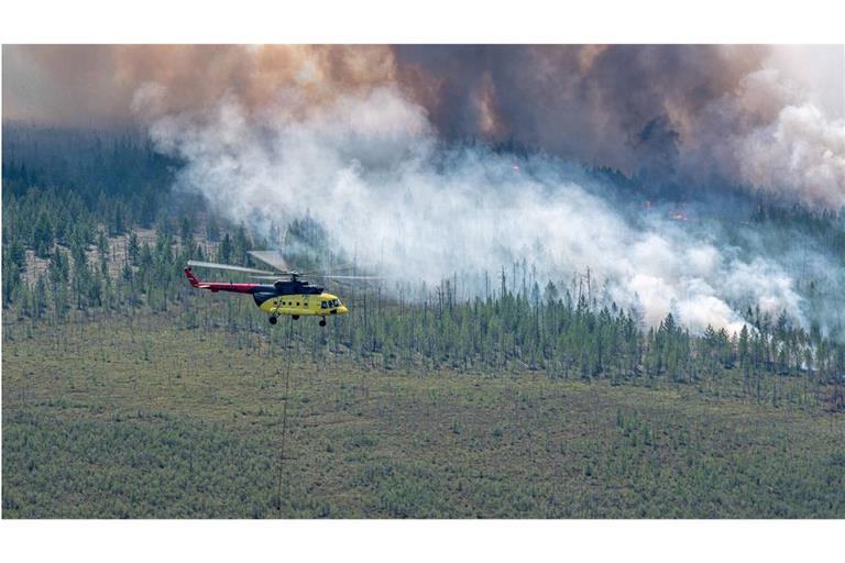 Die Brände am Polarkreis wie hier in der sibirischen Taiga haben deutliche Auswirkungen auf den Klimawandel, da sie große Mengen Treibhausgase freisetzen und Wälder vernichten.