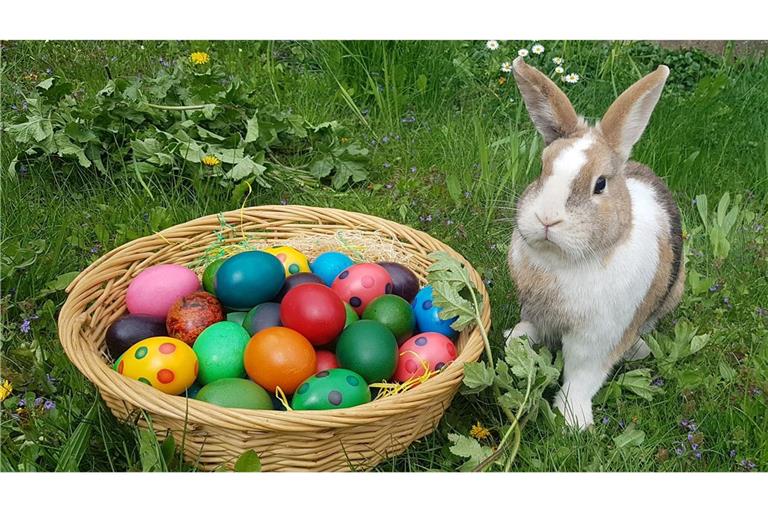 Die Chancen, am Ostersonntag im Garten bunte Eiern suchen zu können, stehen gar nicht einmal so schlecht.