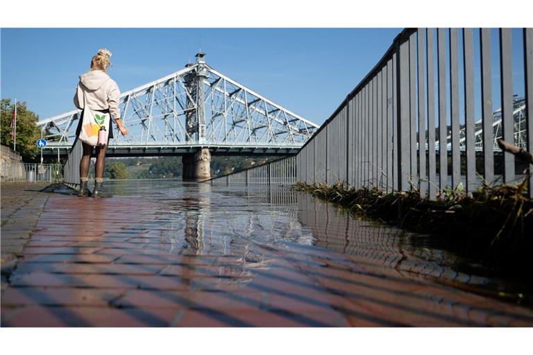 Die Elbe in Sachsen führt seit Wochenbeginn kein Hochwasser mehr. (Archivbild)