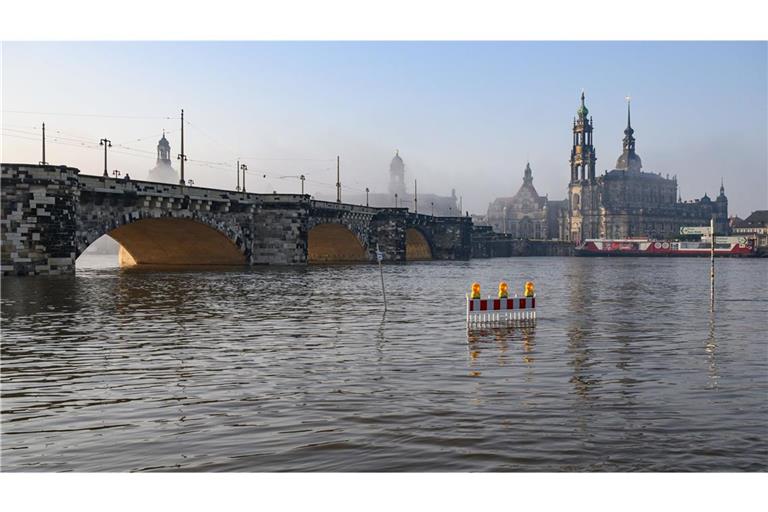 Die Elbwiesen gegenüber der Altstadt sind am Morgen im Nebel vom Hochwasser der Elbe überflutet.