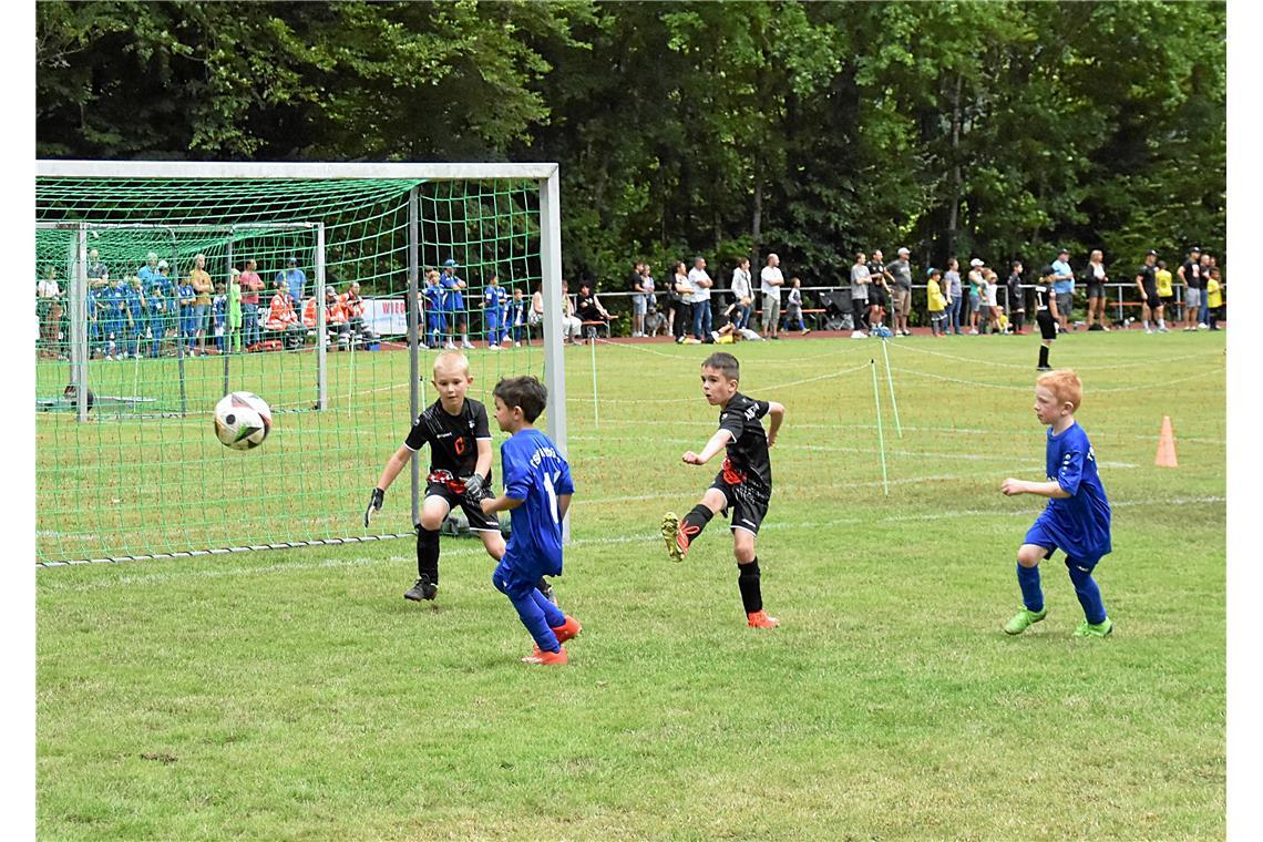 Die F-Junioren der SGM Auenwald (schwarze Trikots) gegen den TSV Althütte.