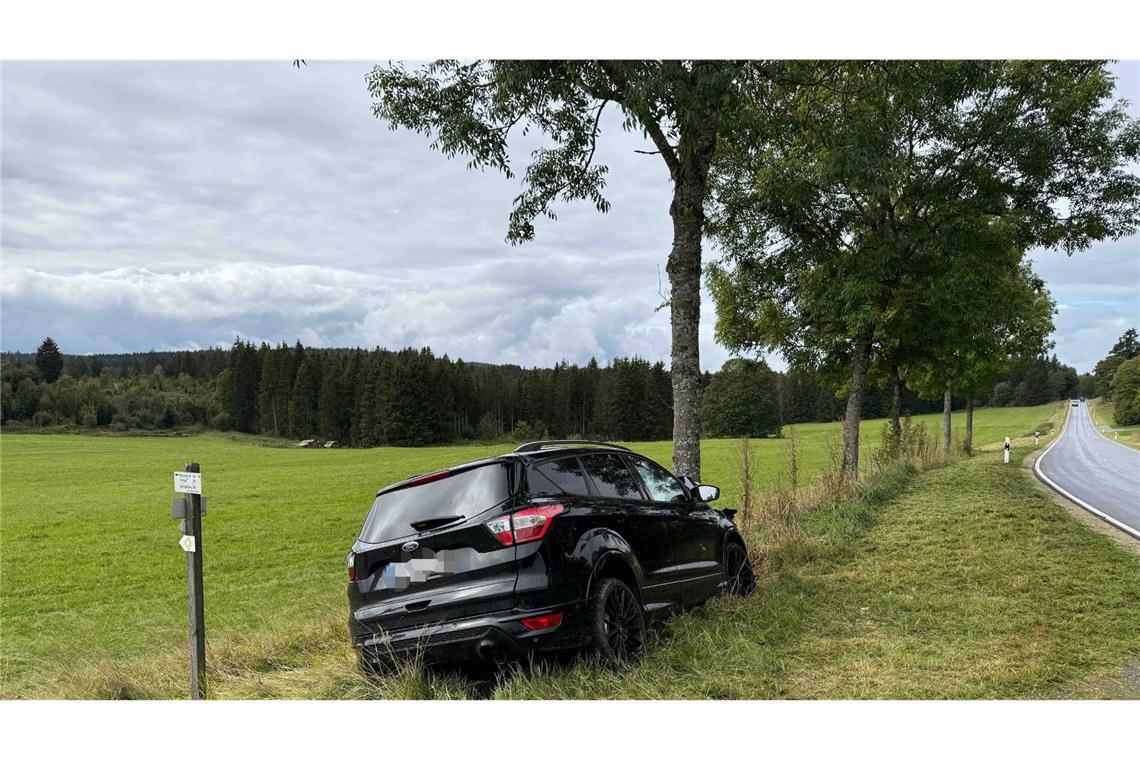 Die Fahrerin ist aus bislang noch ungeklärter Ursache von der Fahrbahn abgekommen.