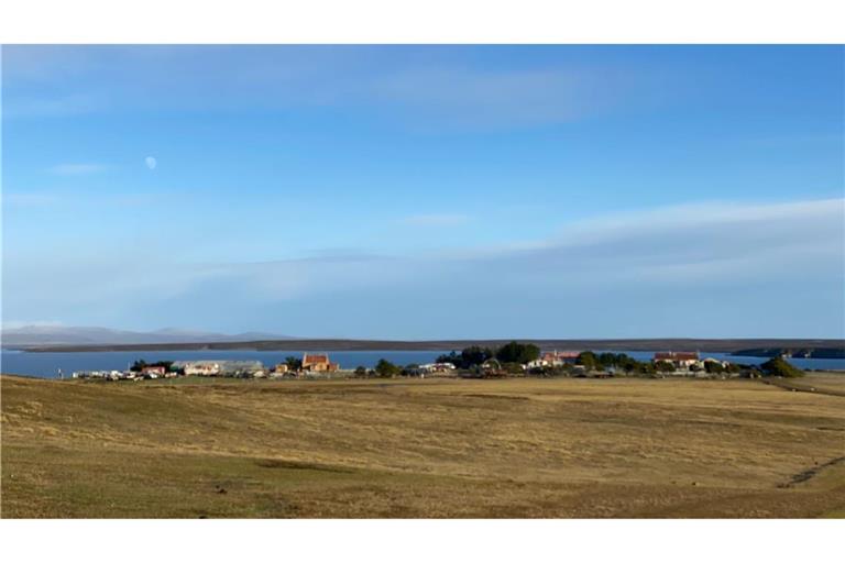 Die Falklandinseln liegen im südlichen Atlantik vor der Küste Südamerikas.