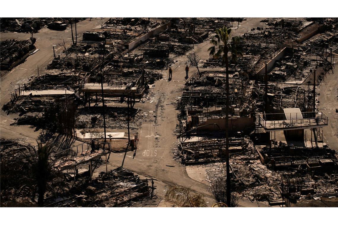 Die Feuer verwüsteten große Flächen. Die Forschungsgruppe plädiert für eine Verbesserung der Wasserinfrastruktur, strengere Bauvorschriften und den Ausbau erneuerbarer Energien. (Archivbild)