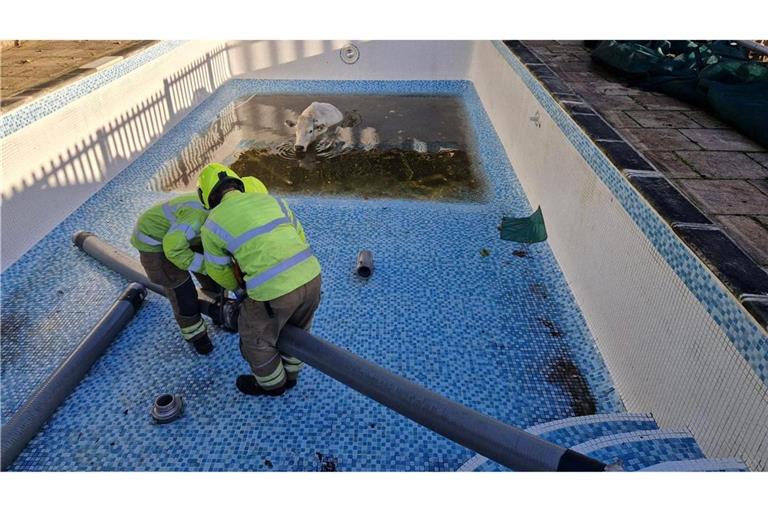 Die Feuerwehr ließ zunächst das Wasser ab.