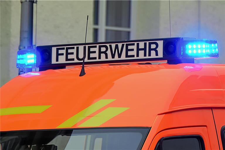 Die Feuerwehr war mit 55 Einsatzkräften vor Ort. Symbolfoto: Tobias Sellmaier 