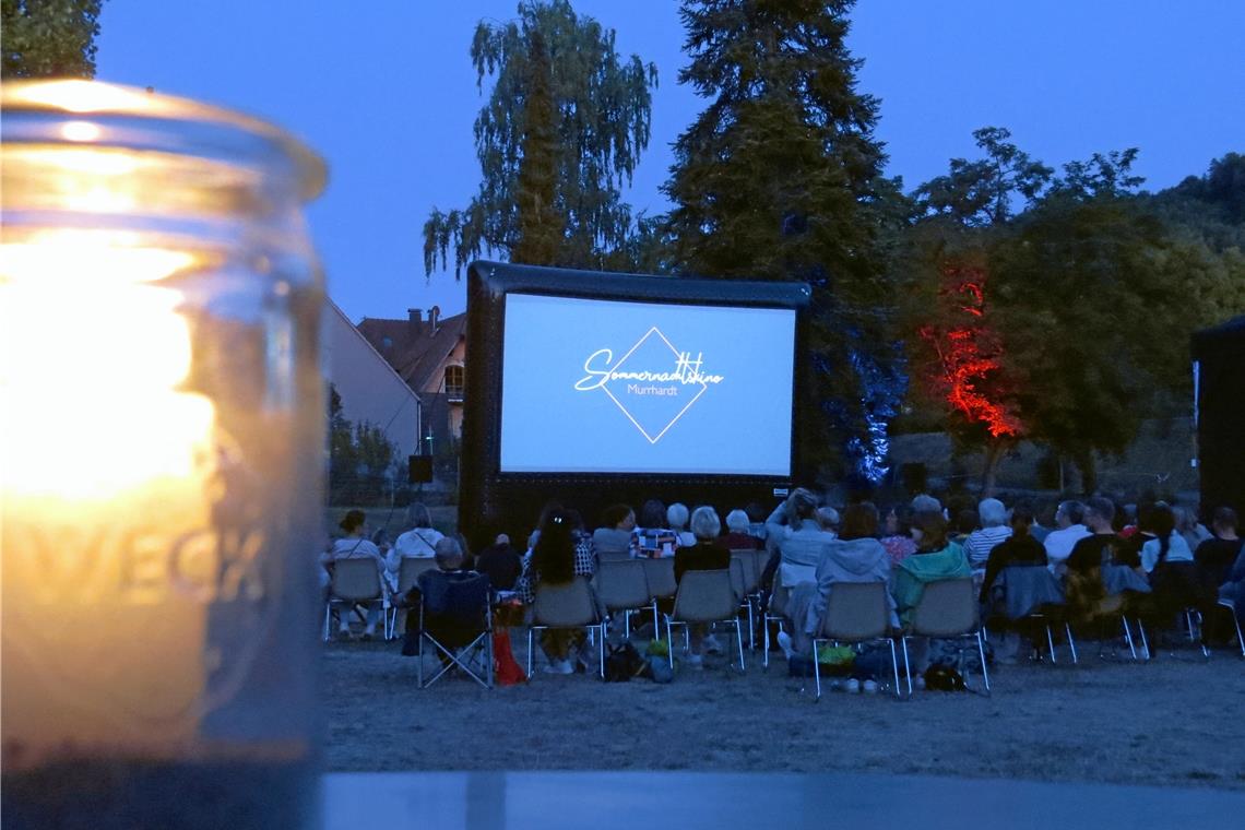 Die Gäste können im Vorfeld über einen Wahlfilm abstimmen. Er wird am ersten Tag des Sommernachtkinos gezeigt. Foto: Christine Schick