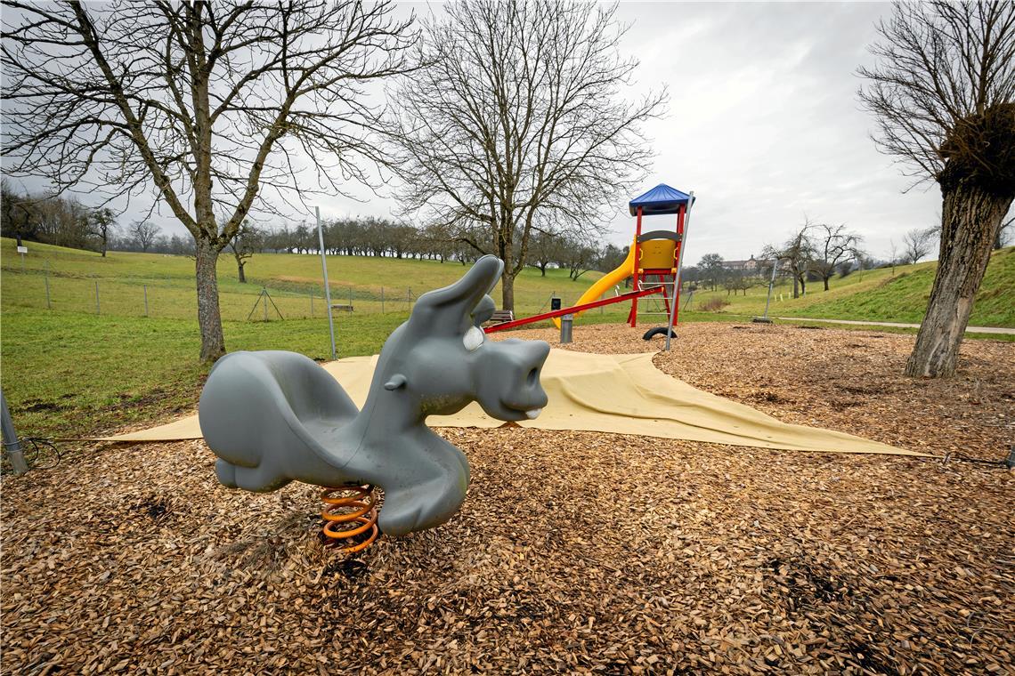 Die Geräte auf dem Spielplatz an der Strümpfelbacher Straße sind zwar gar nicht so alt, zielen aber allein auf Kinder im Kindergartenalter ab, so die Kritik der Planer. Langfristig würden sie diesen Standort gerne umwidmen. Foto: Alexander Becher