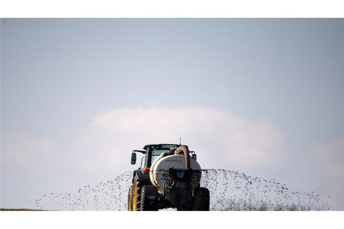 Die größte Belastung des Oberflächen- und Grundwassers gehe von der Landwirtschaft aus, berichtet die EU-Umweltagentur.