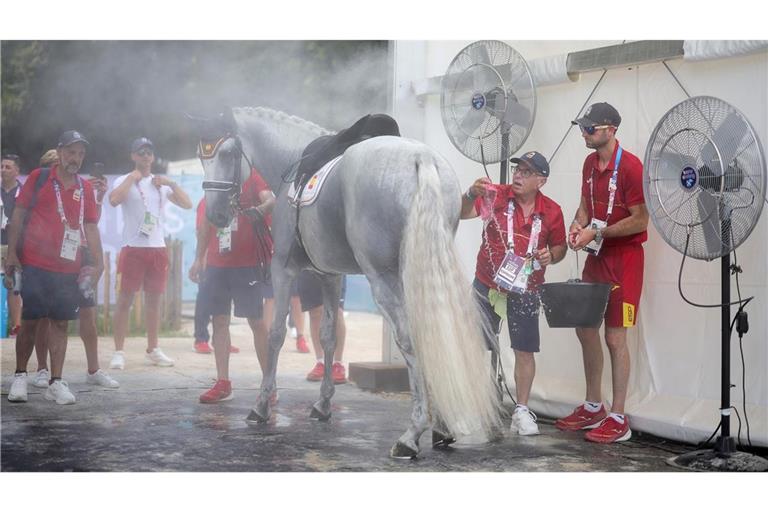 Die Hitze in Paris macht nicht nur den Athleten zu schaffen, auch dieses Pferd braucht dringend Abkühlung.