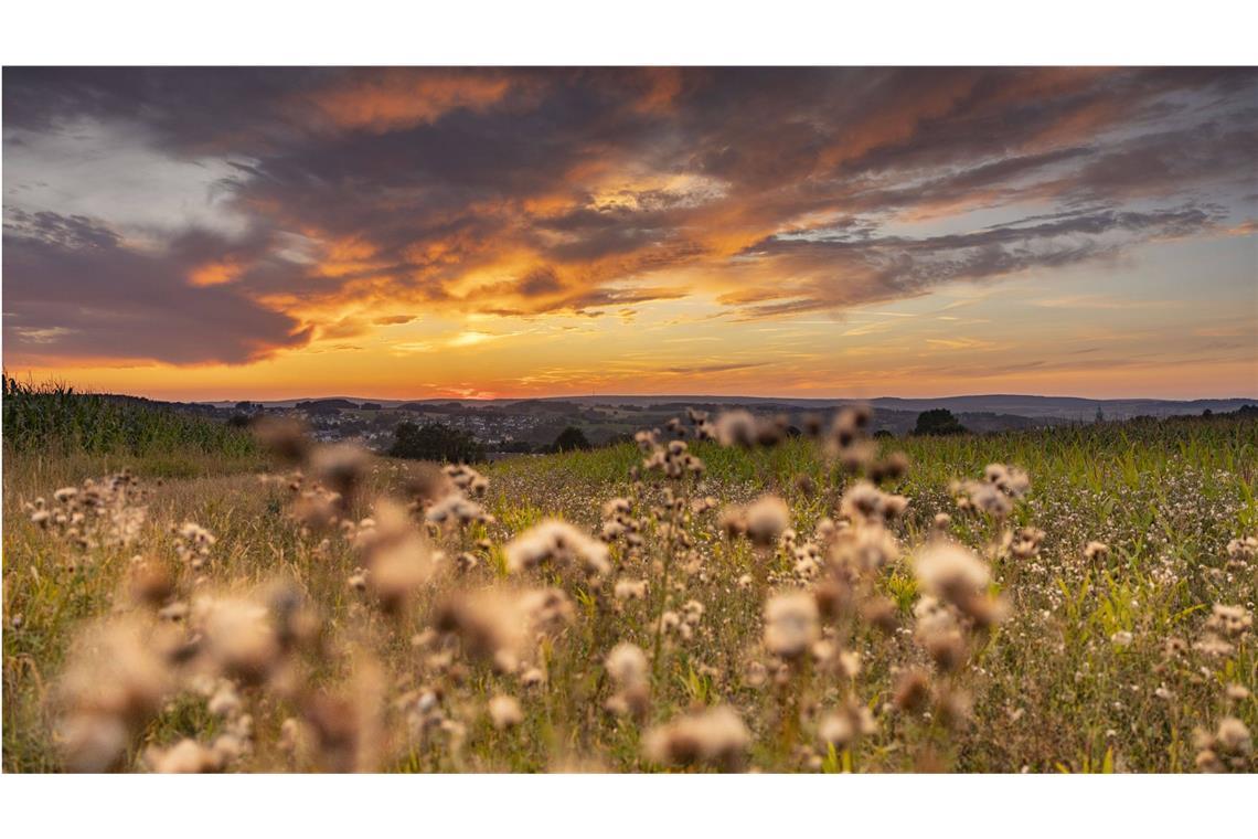 Die Höchstwerte sollen am Mittwoch (18. September) 21 bis 26 Grad Celsius im Südwesten erreichen.