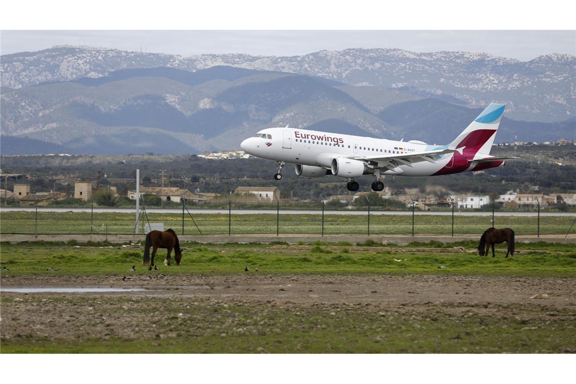 Die Lufthansa-Tochter Eurowings stellt bald für ihre Kunden individuelle Reiseangebote zusammen (Archivbild).