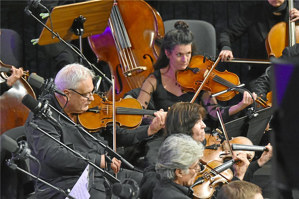 Die Musikerinnen und Musikern kommen vom Württembergischen Staatsorchester und d...