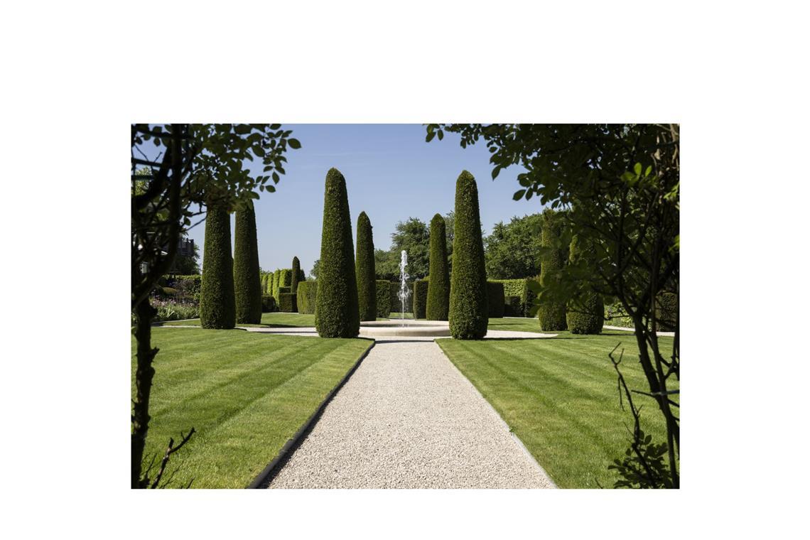 Die Nahaufnahme zeigt die kubistisch geschnittenen Bäume und Hecken.  „In meinem Garten finden sich alle Kunstrichtungen des 20. Jahrhunderts“, sagt Roland Doschka.