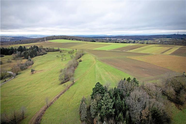 Die Nassacher Ebene: In einem Gebiet von rund 40 Hektar will die Firma WPD drei Windkraftanlagen bauen. Zwei davon sollen auf der Freifläche und eine soll im Wald errichtet werden. Foto: Alexander Becher