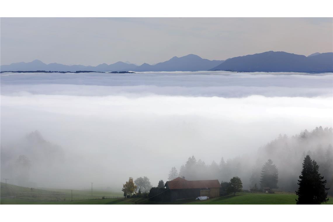 Die neue Realverfilmung von "Heidi" spielt in den Alpen. (Symbolbild)