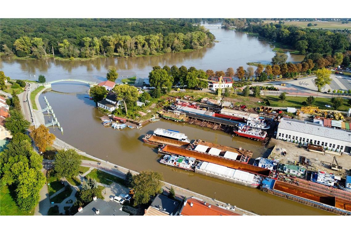 Die Oder bei der Stadt Nowa Sol in der Woiwodschaft Lebus. Auch hier werden Vorkehrungen für das Hochwasser getroffen.