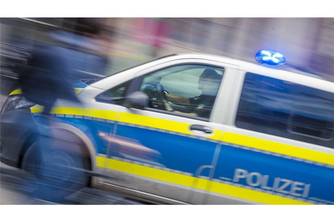 Die Polizei  beschlagnahmte die Anscheinswaffen und Sturmhauben. (Symbolbild)