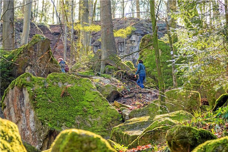 Die Premiumwanderwege Feenspuren erweisen sich als großes Plus für den Schwäbischen Wald. Archivfoto: Stefan Bossow