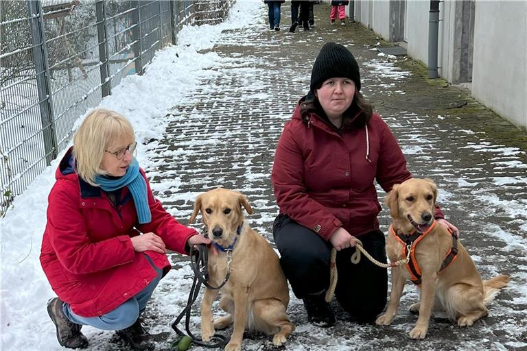 Die Schwestern Chiara und Winnie trafen sich kürzlich im Tierheim wieder. Foto: privat