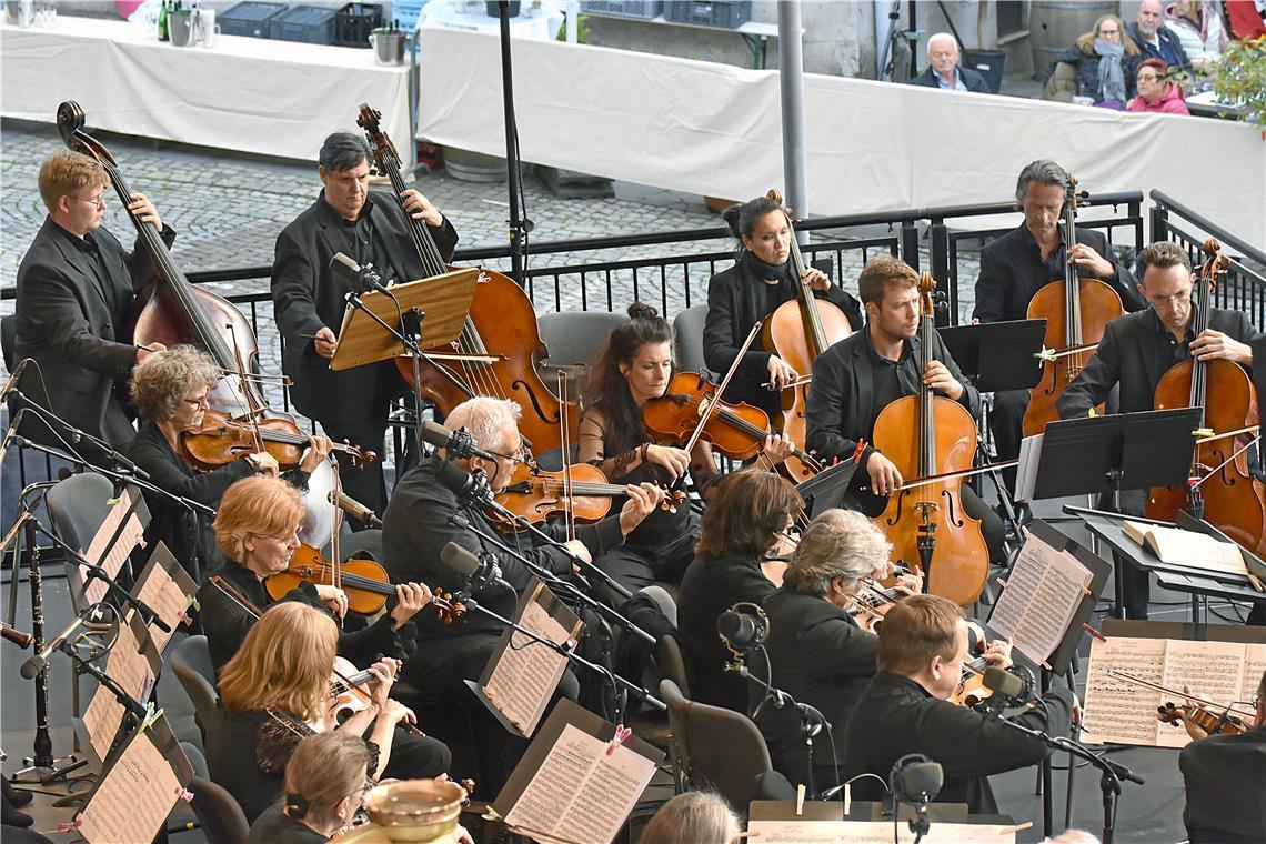 Die Streichinstrumente beim Konzert