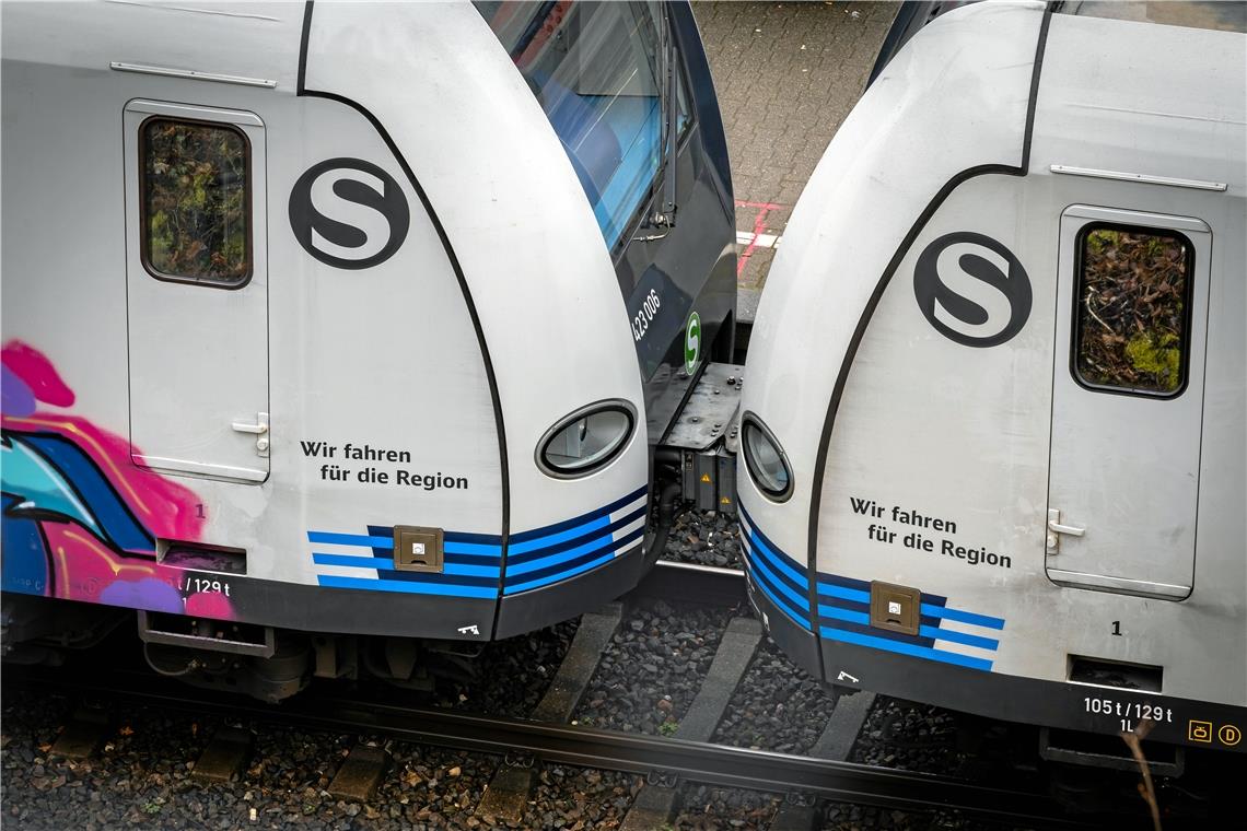 Die Tatverdächtige konnte aus der S-Bahn flüchten. Symbolfoto: Alexander Becher