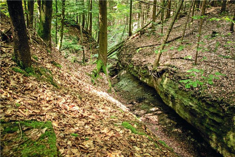 Die Tobelschlucht Dentelbachtal in Spiegelberg.