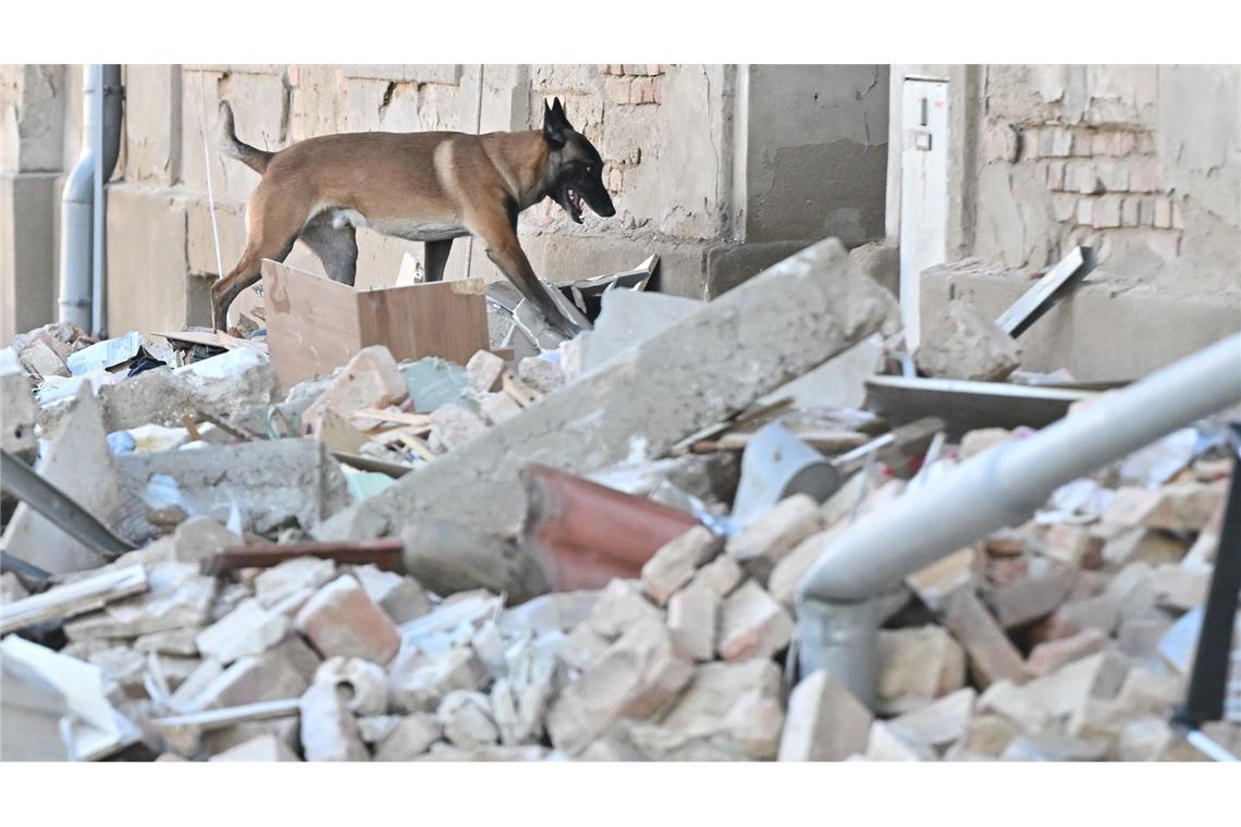 Die Trümmer wurden mit einem speziell ausgebildeten Spürhund durchsucht.