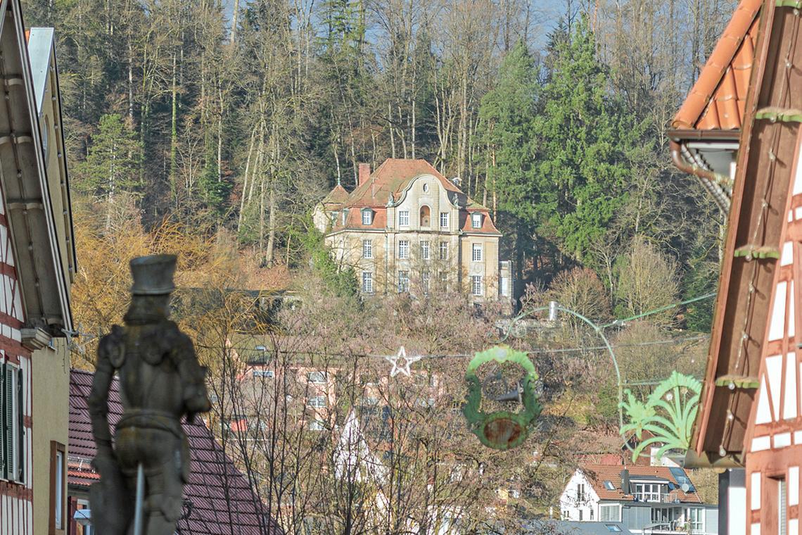 Die Villa Franck ist stadtbildprägend. Archivfoto: Stefan Bossow