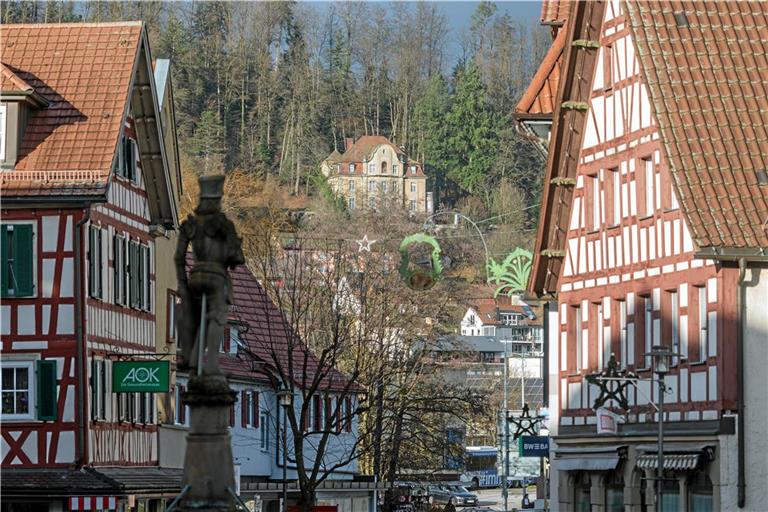 Die Villa Franck ist stadtbildprägend. Vom Marktplatz aus ist sie gut zu sehen. Foto: Stefan Bossow