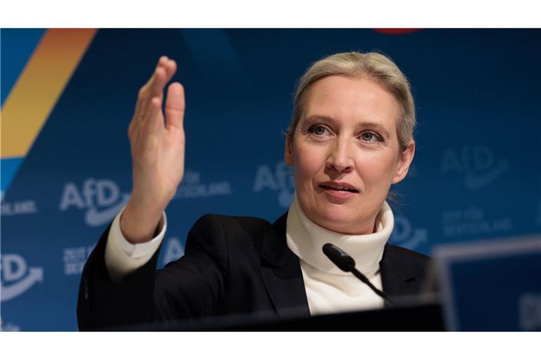 Die Vorsitzende der AfD, Alice Weidel, tritt bei der Bundestagswahl erneut als Direktkandidatin für den Bodenseekreis an (Archivfoto).