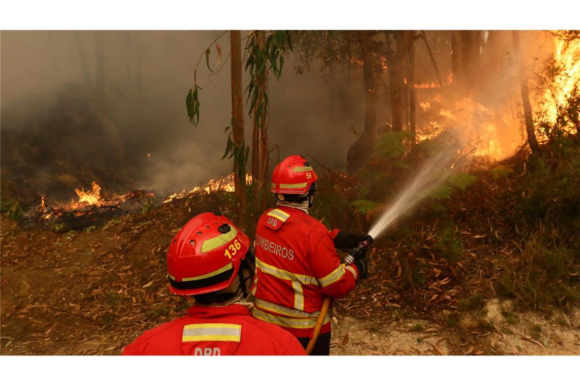 Die Zahl der Waldbrände wächst mit dem Klimawandel (Archivbild)